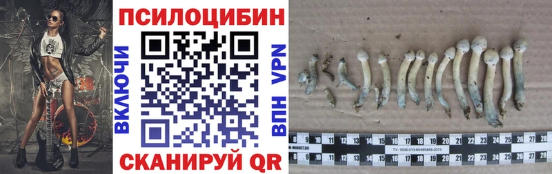 Галлюциногенные грибы Cubensis  Купить где  Острогожск 